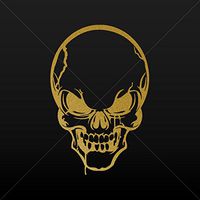 Decals Decal Skull Racing Motorbikes Waterproof Racing Vehicle Tablet Gold-Matte (7 X 4.60 In)