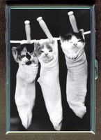 Kittens In Stockings Cute Cats Double-Sided Cigarette Case, ID Holder, Wallet with RFID Theft Protection