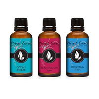 30ML - Trio (3) - Ocean Breeze, Beautiful Day Type & Mountain Rain - Premium Fragrance Oil Trio - 30ML
