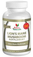 Lions Mane Mushroom Supplement - 120 Veg. Capsules with Lion's Mane Mushrooms to Support Focus, Memory and Brain Health