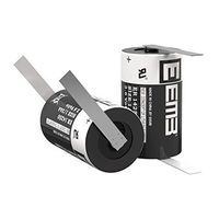 EEMB 1/2 AA 3.6 V Lithium Battery with FT Tabs ER14250 1200 mAh High Capacity Li-SOCl2 3.6Volt Lithium Thionyl Chloride Batteries Non Rechargeable UL Certified 2PCS