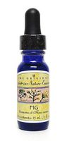 Fig Spirit-in-Nature Flower Essences for flexibility and self-acceptance 1/2 oz. (15 ml.)