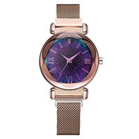 AMOUSTORE Women Quartz Watch for Starlight Dial, Wrist Watches for Business Dress (Gold)