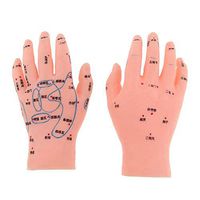 BIUYYY 15Cm Human Body Hand Model Hand Reflex Zone Acupuncture Model, for Teaching in Acupuncture and Massage