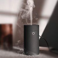 Car Diffuser Humidifier Esstential Oil Diffuser for Car USB Cool Mist Mini Portable for Car Home Office Bedroom(Plain Black)