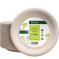 Compostable Plates 9 Inch Biodegradable Paper Plates - Made from 100% Sugarcane - Disposable Eco Friendly bagasse Plates - Natural Earth Friendly Recycled Plates Non Plastic - by Bluetable [100 Pack]