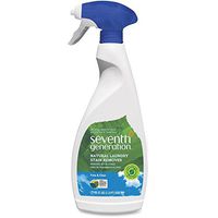 22 oz. Trigger Spray Odorless Laundry Stain Remover