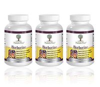 Premium Berberine HCl 500mg - 360 Capsules - Cardiovascular gastrointestinal Immune Weight Loss Support- Chromium Cinnamon