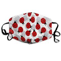 Women & Men Earloop Half Face Mouth Masks Face Masks Anti-Dust Face and Nose Cover - Soft Windproof Cosplay Mouth Mask for Kids Youth Boys Girls (Ladybugs Cartoon Cute)