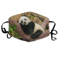 Sleeping Panda Baby Fabulous Dust Mouth Mask Reusable Anti-Dust Face Mask Adjustable Earloop Skin Protection