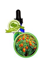 French Marigold Essential Oil - 100% Pure Tagetes Patula - 60ml (2oz) - Undiluted, No solvents