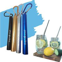 Reusable Straw with Case (Black) | Reusable Metal Straws Collapsible Stainless Steel Drinking Straw Portable Telescopic Straw with Case Keychain