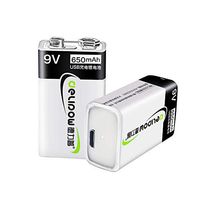 Delipow 9V USB Rechargeable Batteries, High Capacity 650mAh Li-ion Rechargeable Battery with 2 USB Charging Cables - 1.5h Quick Charge 2-Pack