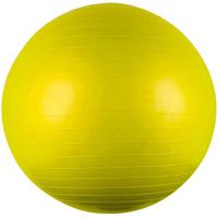 65cm Diameter Yoga Exercise Swiss Stability Fitness Ball with Pump