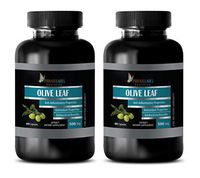 antioxidant Vitamins - Olive Leaf Extract 500MG - Dietary Supplements - Olive Leaf Bulk Supplements - 2 Bottles (120 Capsules)