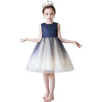 Driuankeji Big Girls' Special Occasion Lace and Tulle Dress Toddler Baby Kids Party Dress Princess Dresses Blue