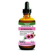 Echinacea Q (Echinacea Angustifolia) – Mother Tincture - Supports Healthy Immune Function –Aids in Detoxification - Alcoholic Extract, 2. Fl oz by Heavenly Herbals, Inc.