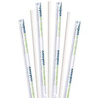 Biodegradable Eco Friendly Paper Straws, Compostable White Jumbo Paper Solid Wrapped 10 Inch, Box of 3200 Straws
