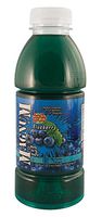 16oz Magnum Detox Blueberry Flavor