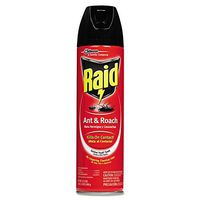Raid - Ant & Roach Killer, 17.5oz Aerosol CB216135 (Dmi Ea