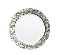 Hammered Effects Elegant China-like Disposable 9 Inch Plates, White and Silver, 10 Count (Pack of 4)