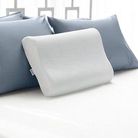 Sleep Innovations Gel Memory Foam Overlay Standard Contour Pillow