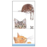 Caspari Kitties Facial Tissue Hankies - Pack of 10