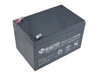Battery-Biz Inc. 12 Volt 12 Ah SLA UPS Battery