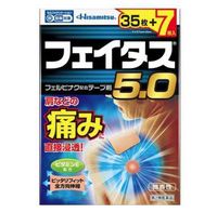 HISAMITSU Feitas 5.0 Pain Relief Patches 42 Patches