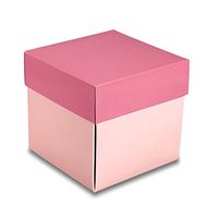 Pink Individual Cupcake Boxes | Quantity: 25 | Width: 3 1/2"