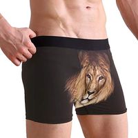 Lion Men's Sexy Boxer Briefs Stretch Bulge Pouch Underpants Underwear