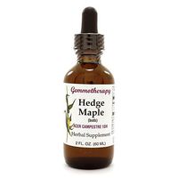 Boiron Gemmotherapy Hedge Maple, Buds, Herbal Supplement