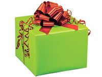 CITRUS LIME Recycled Gloss 24"x85'Solid Color Gift Wrap Cutter Box (2 unit, 1 pack per unit.)