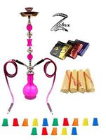Zebra Smoke Series: 32" 2 Hose Sunshine (C1) Hookah Complete Set Combo KIT w/Instant Charcoal (Like Three Kings Charcoal) (Purple)