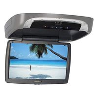 Audiovox VODDLX10 LED Monitor