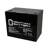 Mighty Max Battery 12V 75Ah Internal Thread Battery for EV Rider IV Dual Wheelchair Brand Product