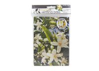 Pearlessence Fragrant Writing Pad, White Tea (Pack of 3)