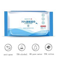 40 Pcs/Pack Disposable Wet Wipe, Personal Cleansing Wipes, Clean Hand Health Care Household Cleaning Tools, Suitable for All Daily Protection (1 Pack)