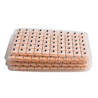 600 Pieces Disposable Ear Press Seeds Acupuncture Vaccaria Plaster Bean Massager Ear Seed Acupressure Kit (10 Sheets)