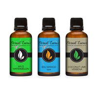 30ML - Trio (3) - Wild Watermelon, Bali Mango Type & Coconut Lime Verbena - Premium Fragrance Oil Trio - 30ML