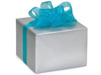 SILVER Recycled Gloss 24"x85'Solid Color Gift Wrap Cutter Box (2 unit, 1 pack per unit.)