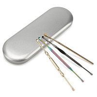 4 Pcs Stainless Steel Colorful Double-ended Ear Pick Ear Wax Cleaner with Box Ear Care Tools