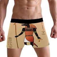 WXLIFE Vintage Ethnic Egyptian Egypt Boxer Briefs Men's Underwear for Men Boy