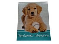 Faith View Creations Animal Mini Tablet 30 Sheets Per Notepad (Be Content Puppy)