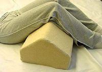 10" Thick Firm Poly Foam Slant Wedge Cushion/Elevating Leg Rest Pillow with Velour Terry Cover