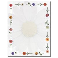 Great Papers! Daisies Letterhead