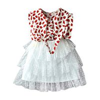 YESOT Party Dresses for Kids Princess Leopard Tops Tulle Tutu Party Tiered Skirt Clothes Set (5-6 Years, Red)