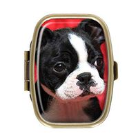 Cecillia Cute Boston Terrier Glasses Pill Box Decorative Boxes Bronze Rectangular Pill Case Medicine Tablet Holder Wallet Organizer Case for Pocket or Purse