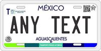 Aguascalientes Mexico Placas License Plate