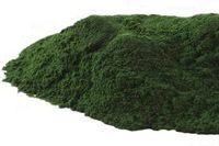 Mountain Rose Herbs - Chlorella Powder 1 lb